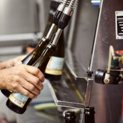 Embouteillage-cidre_Charles-Briand