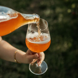 Verre de cidre - Credit Cidrerie Milton