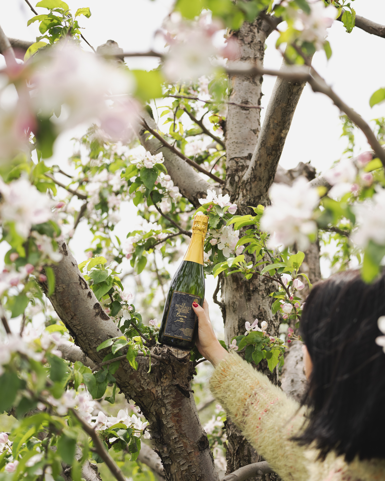 Semaine du cidre 2025 : Les nouveautés à ne pas manquer!