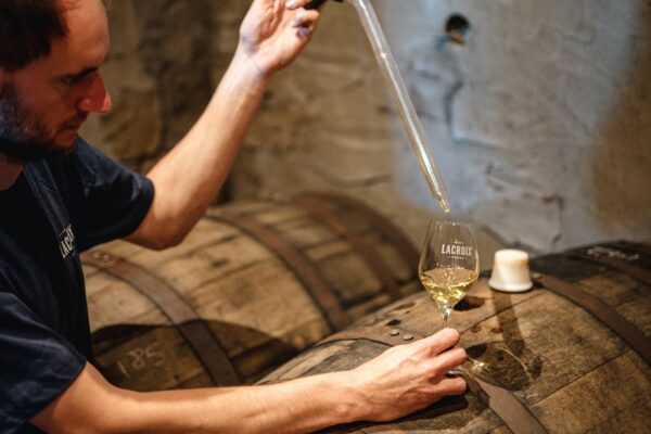 245806709_4899168916783054_7831521877841626667_n