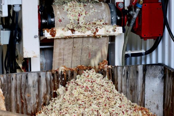 249373800_10159101284086998_7879492151955239582_n