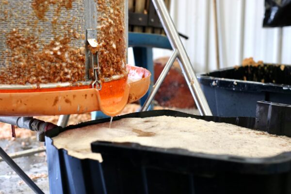 249923366_10159101283456998_5454188969987501695_n