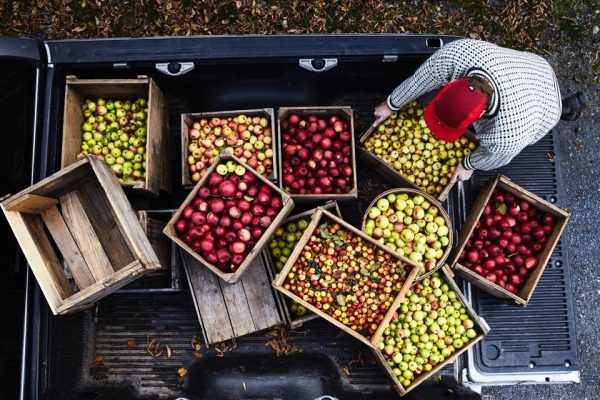 80242132_2700898433338513_994880675347693568_n-600x400