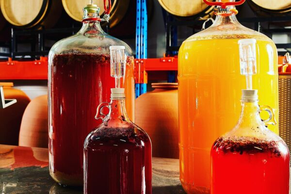 84396178_872228186572357_1469264425985769472_n